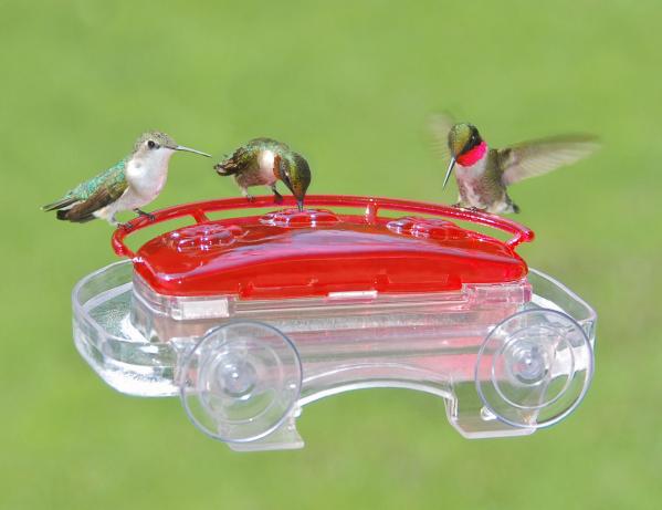 Aspects 407 Jewel Box Window Hummingbird Feeder